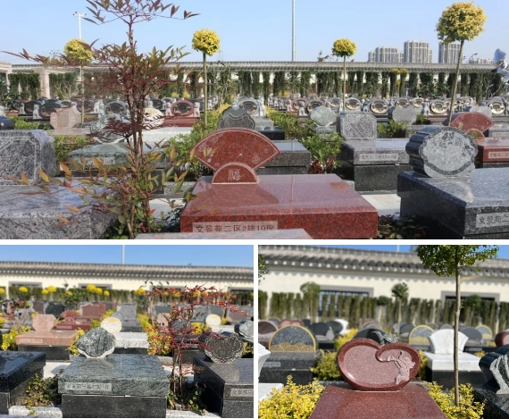 明升mansion88(中国游)最新官方网站