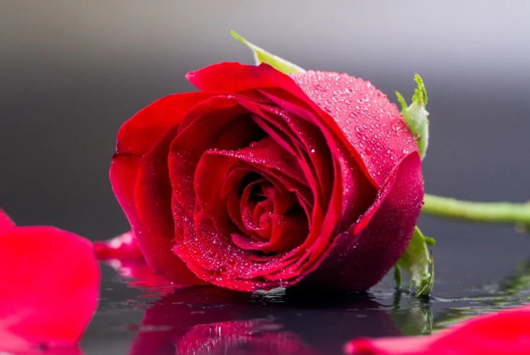 女神节 | 致敬“她”实力，，，共筑优美未来