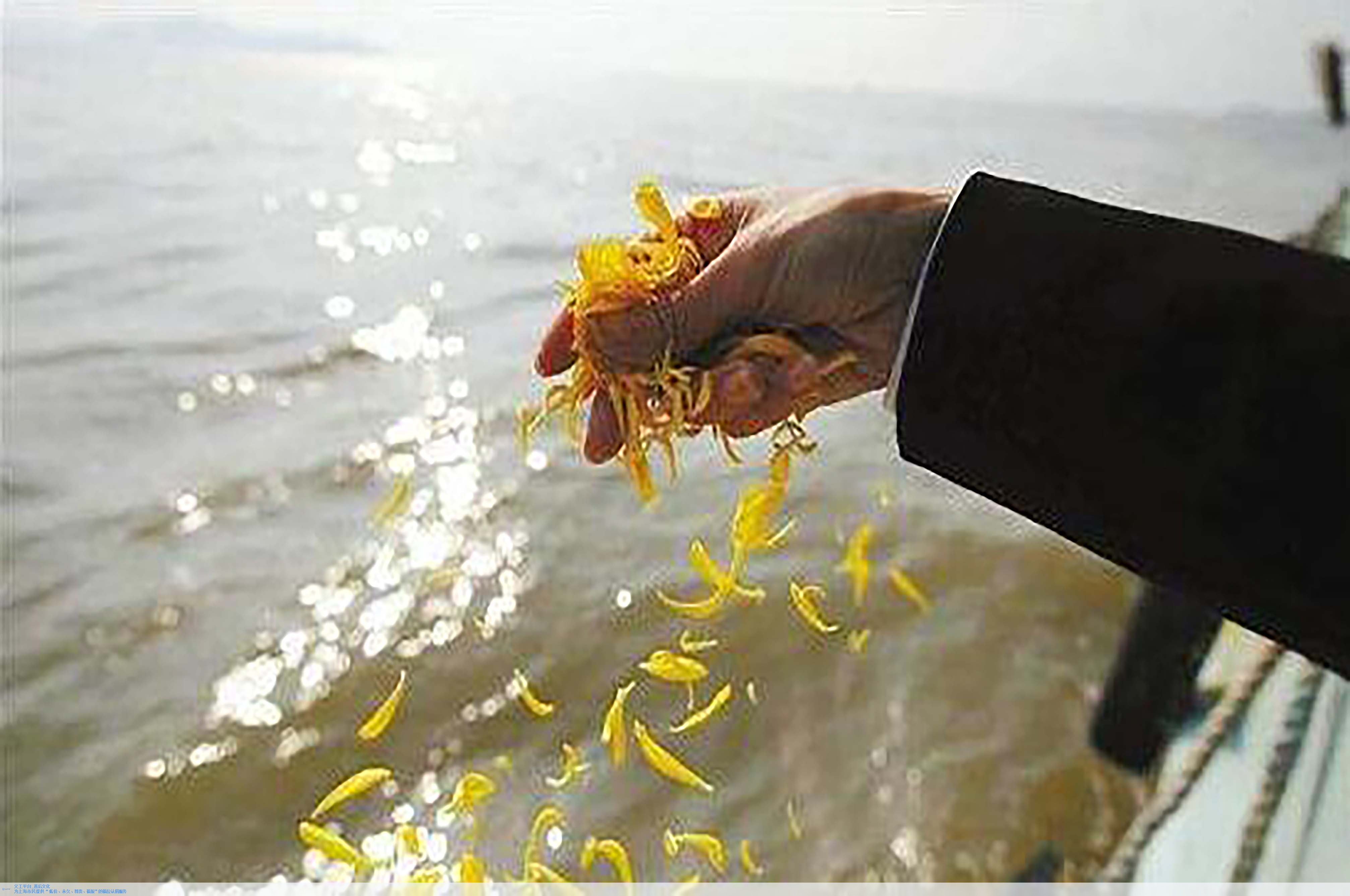 明升mansion88(中国游)最新官方网站