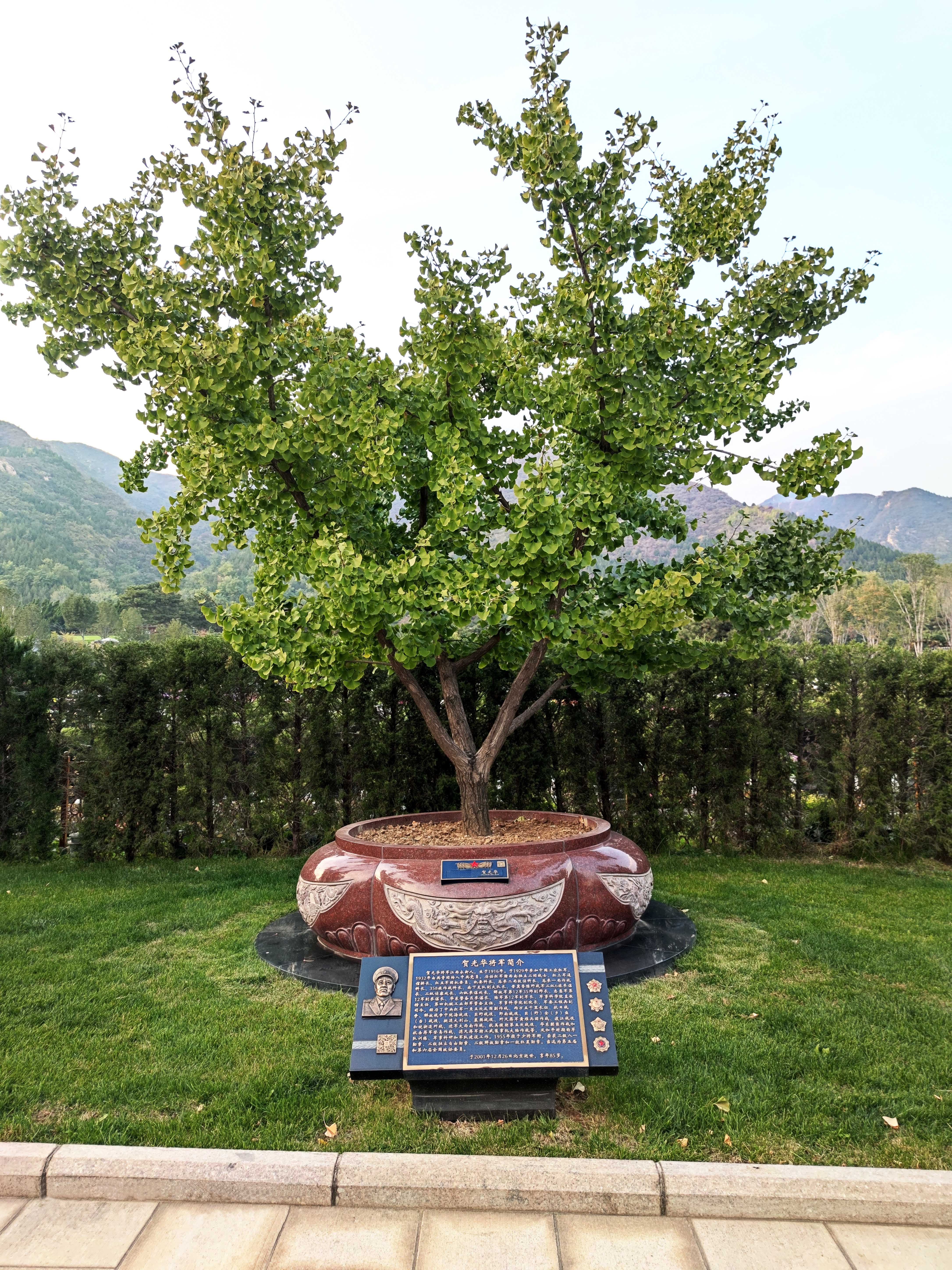 明升mansion88(中国游)最新官方网站