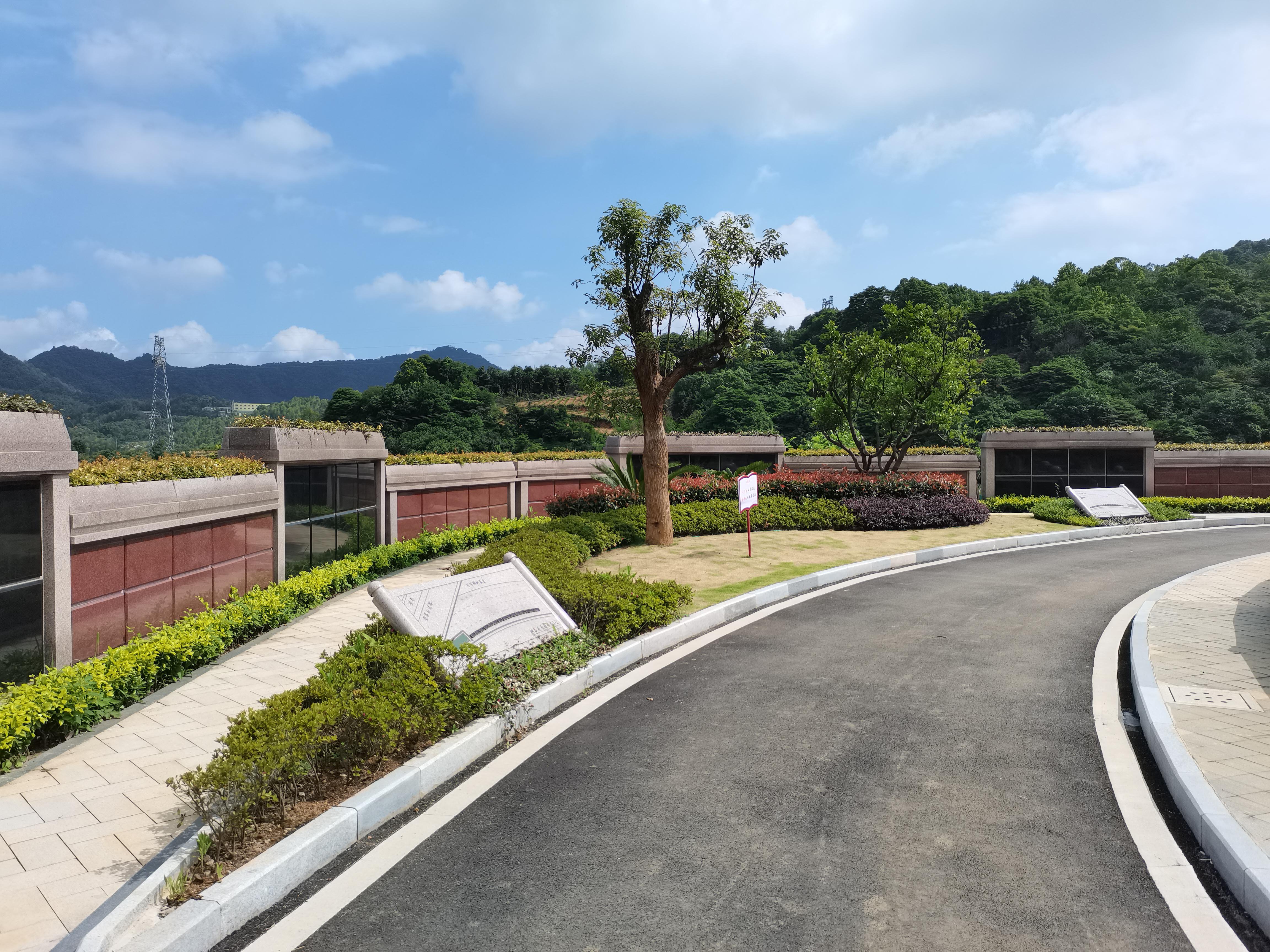 海葬和树葬哪个好？？？？两种生态葬祭方法的选择与意义