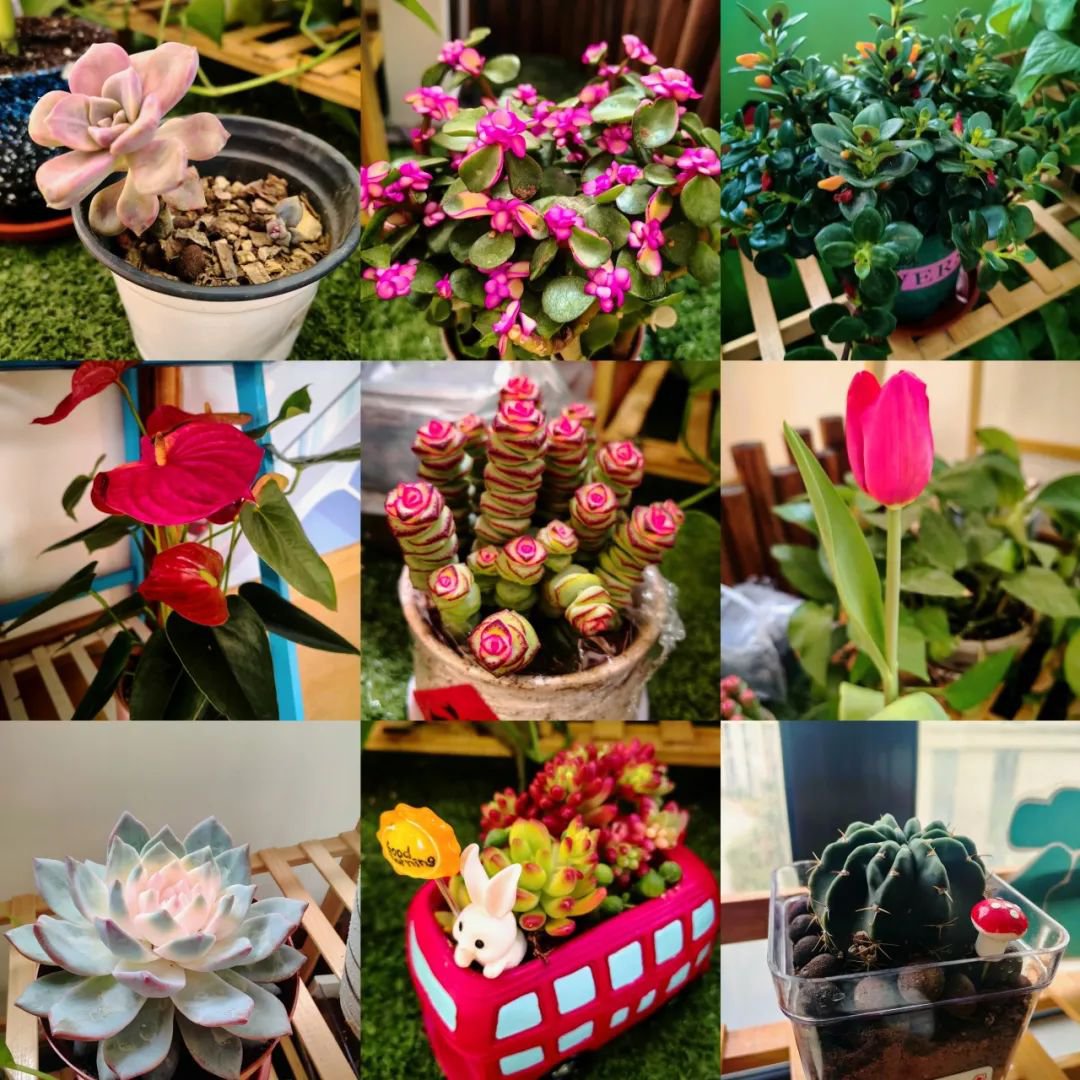 明升mansion88(中国游)最新官方网站