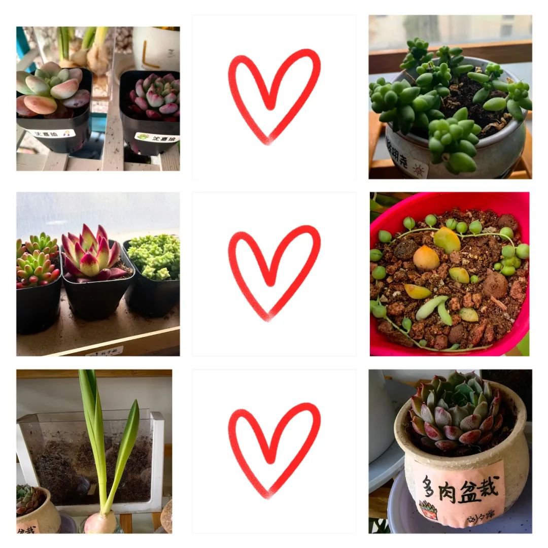 明升mansion88(中国游)最新官方网站