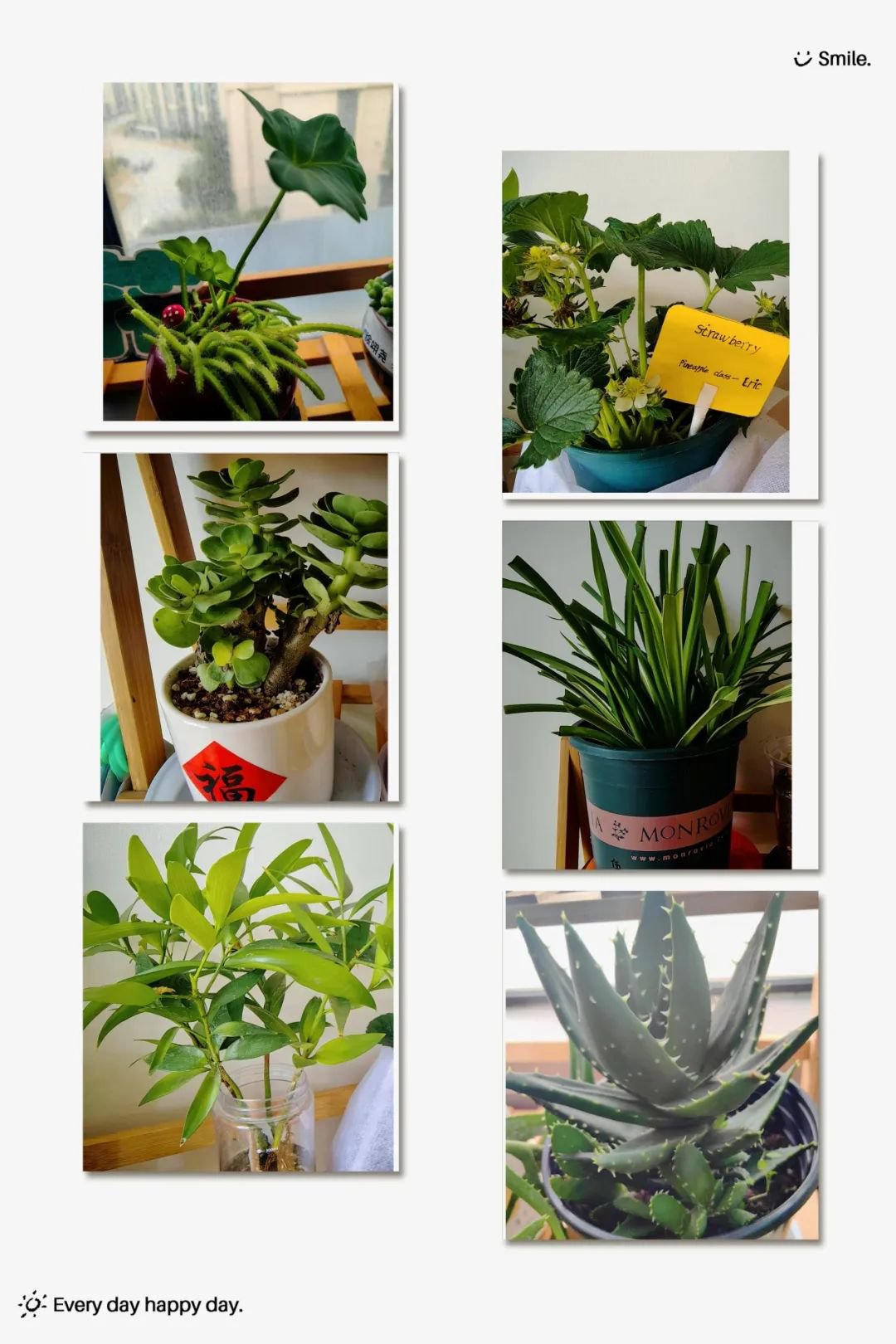 明升mansion88(中国游)最新官方网站