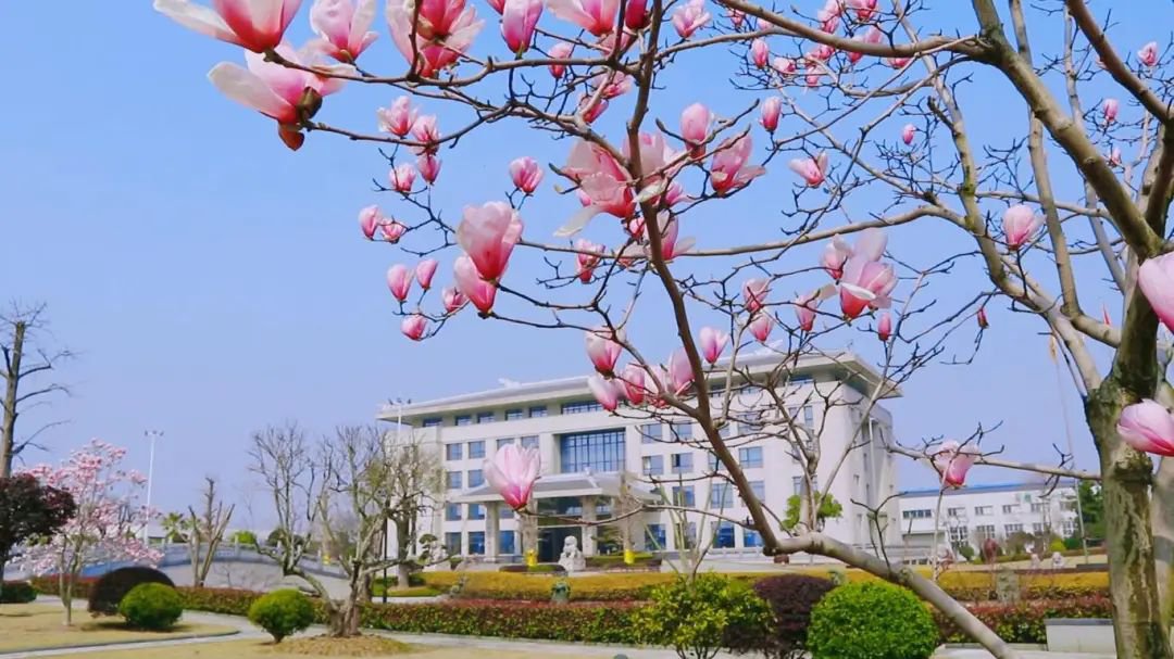 明升mansion88(中国游)最新官方网站