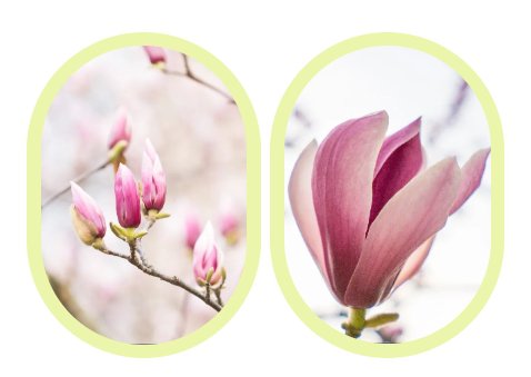 明升mansion88(中国游)最新官方网站