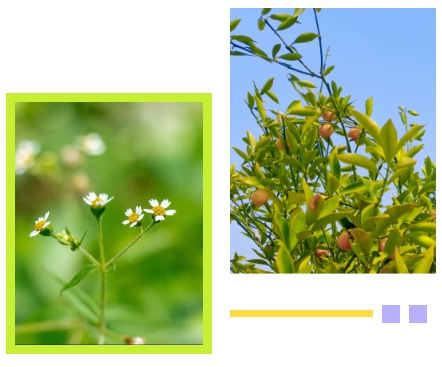 明升mansion88(中国游)最新官方网站