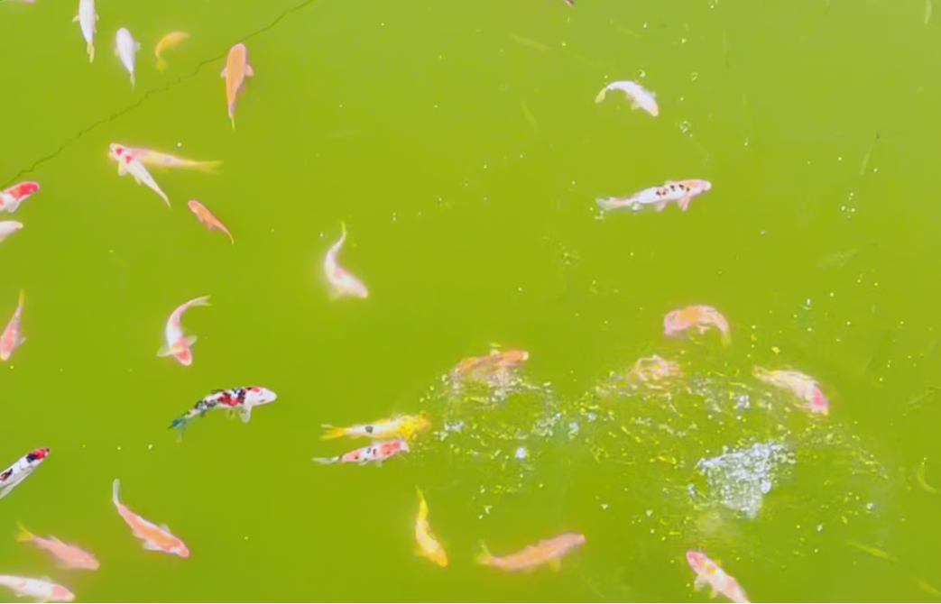 明升mansion88(中国游)最新官方网站