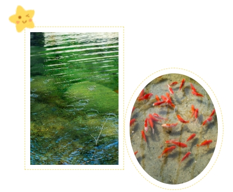 明升mansion88(中国游)最新官方网站