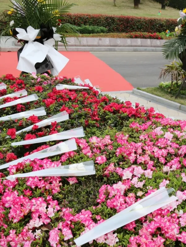 明升mansion88(中国游)最新官方网站