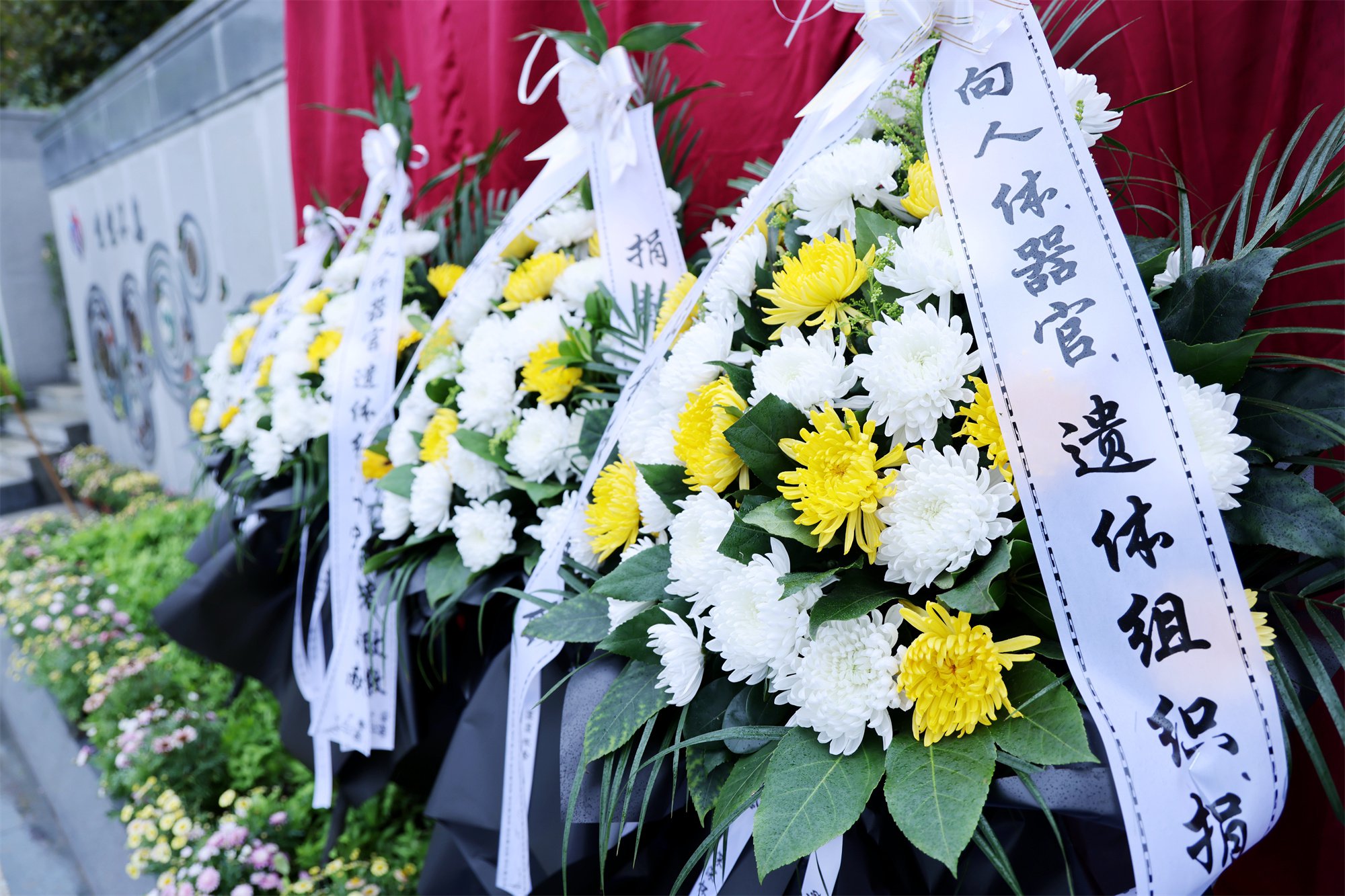 明升mansion88(中国游)最新官方网站