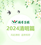 风起清明 遥寄相思|明升mansion88集团?2024清明篇