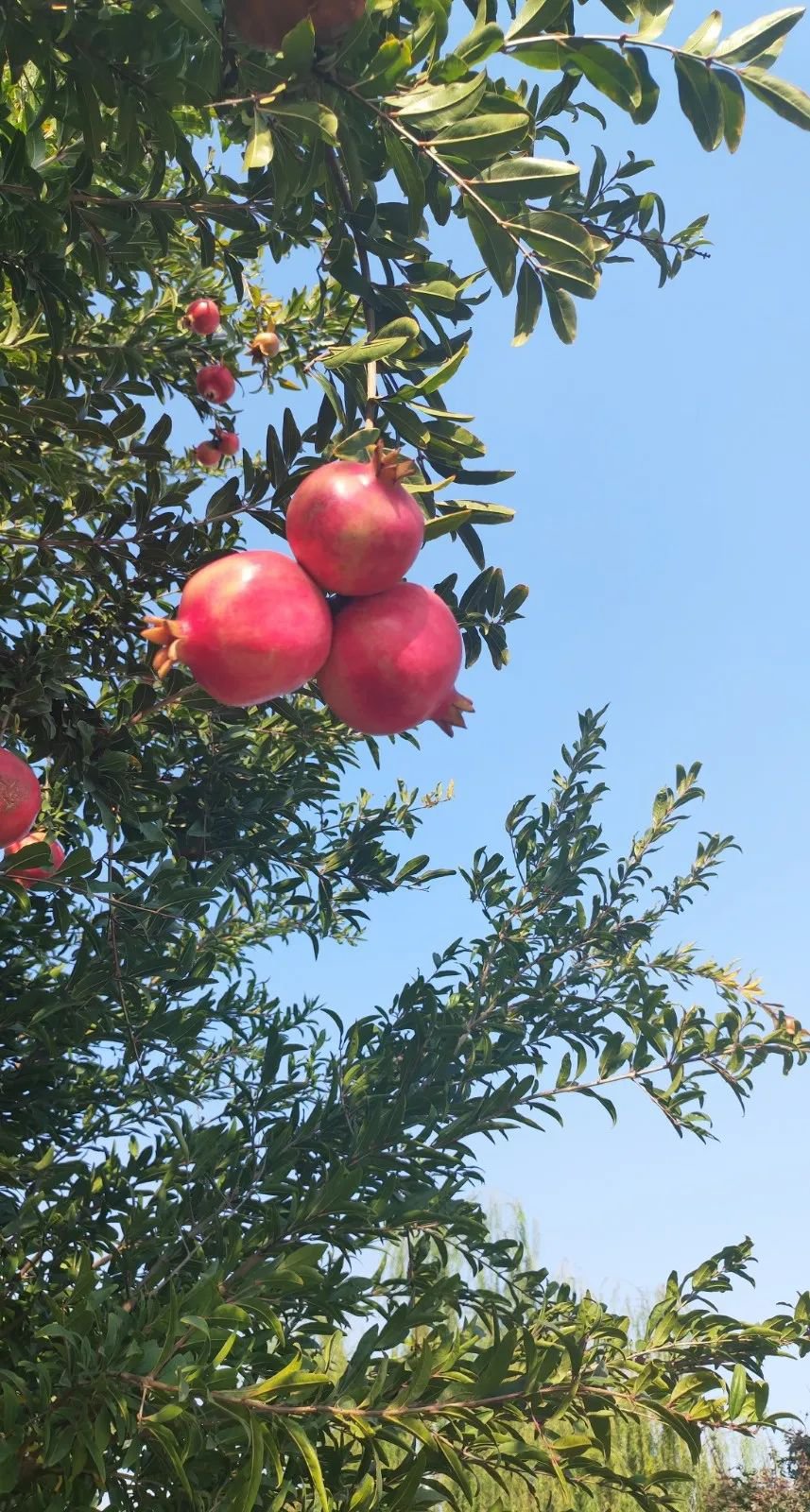 明升mansion88(中国游)最新官方网站