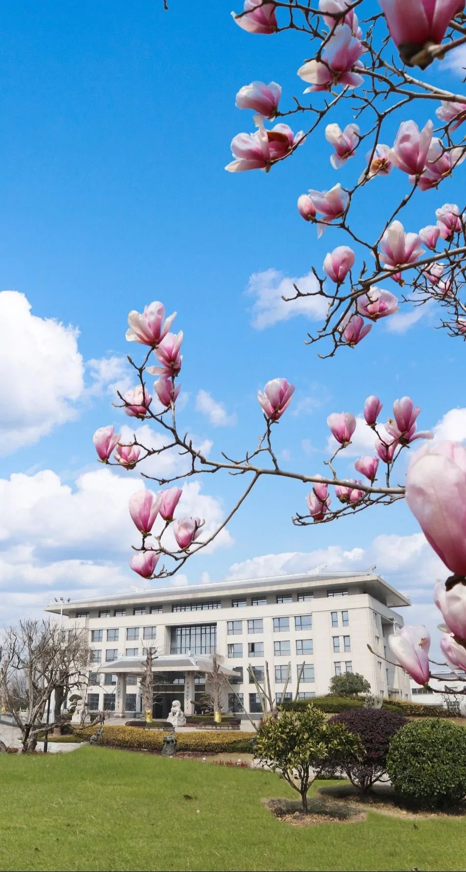 明升mansion88(中国游)最新官方网站