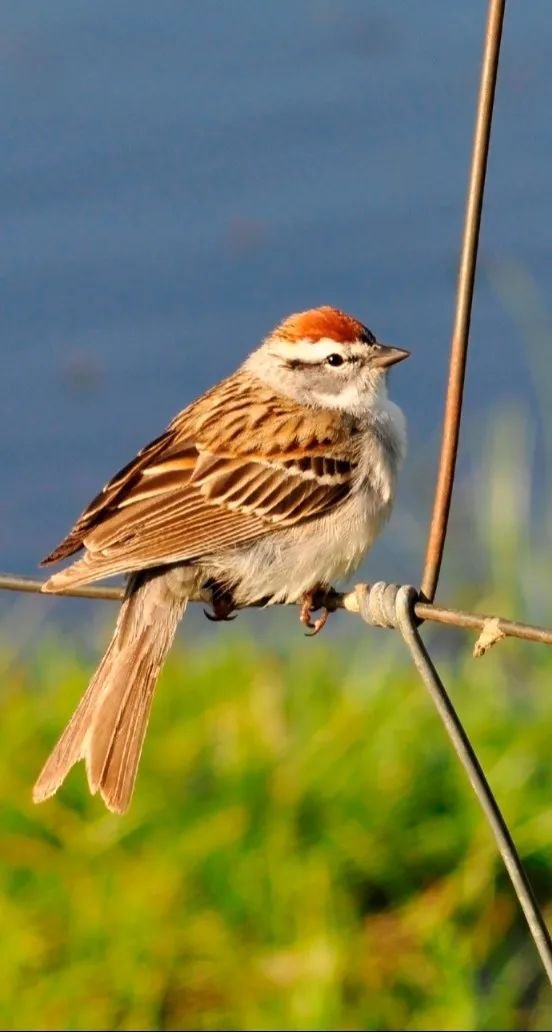 明升mansion88(中国游)最新官方网站