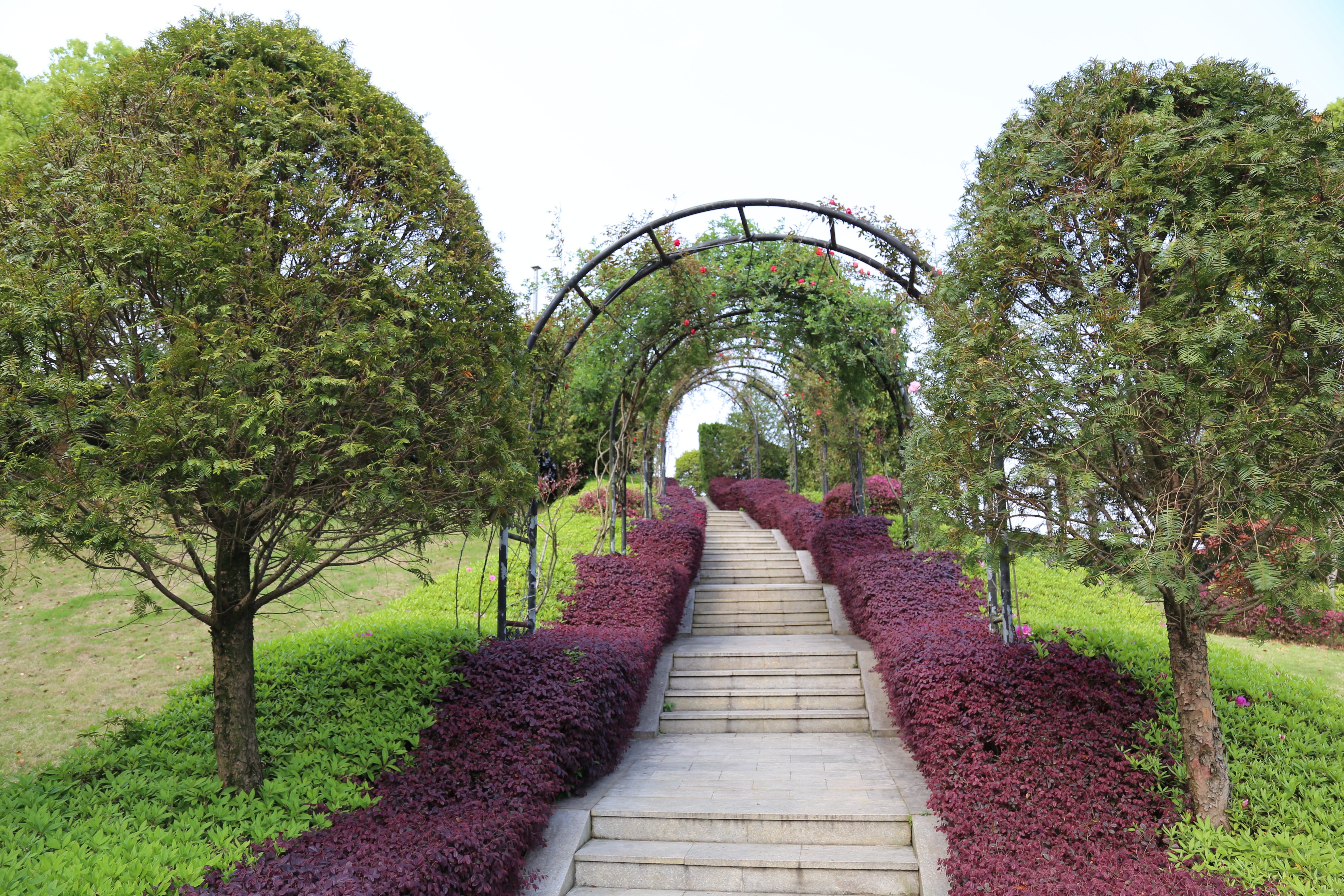 明升mansion88(中国游)最新官方网站