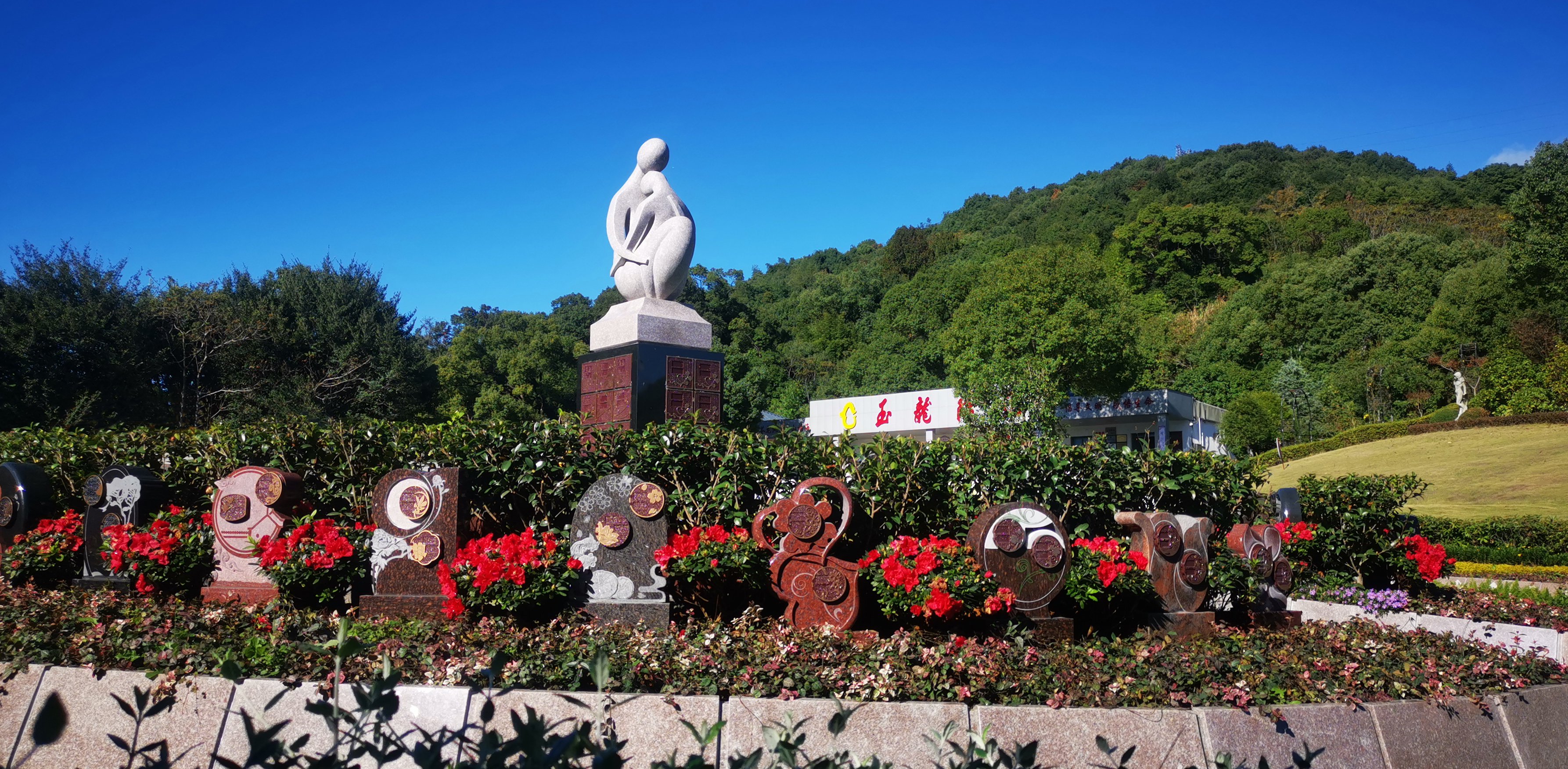 未来，，，，生态葬或将成为主流