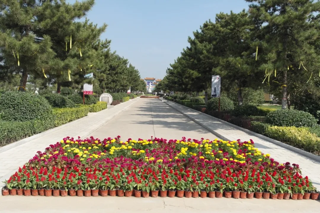 明升mansion88(中国游)最新官方网站