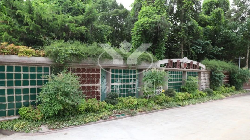 明升mansion88(中国游)最新官方网站