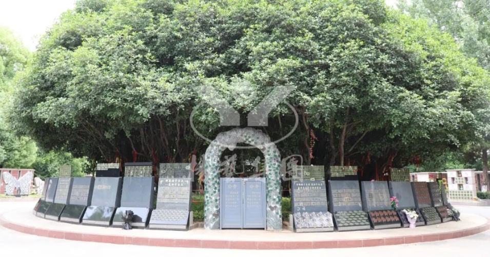 明升mansion88(中国游)最新官方网站