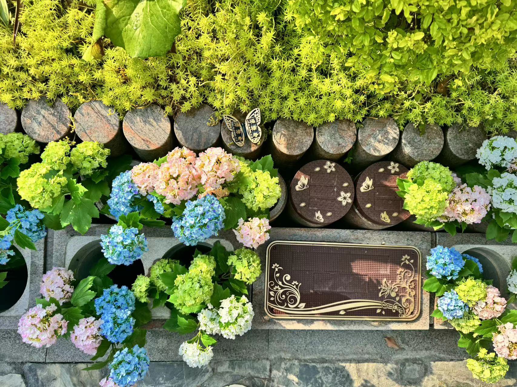 明升mansion88(中国游)最新官方网站