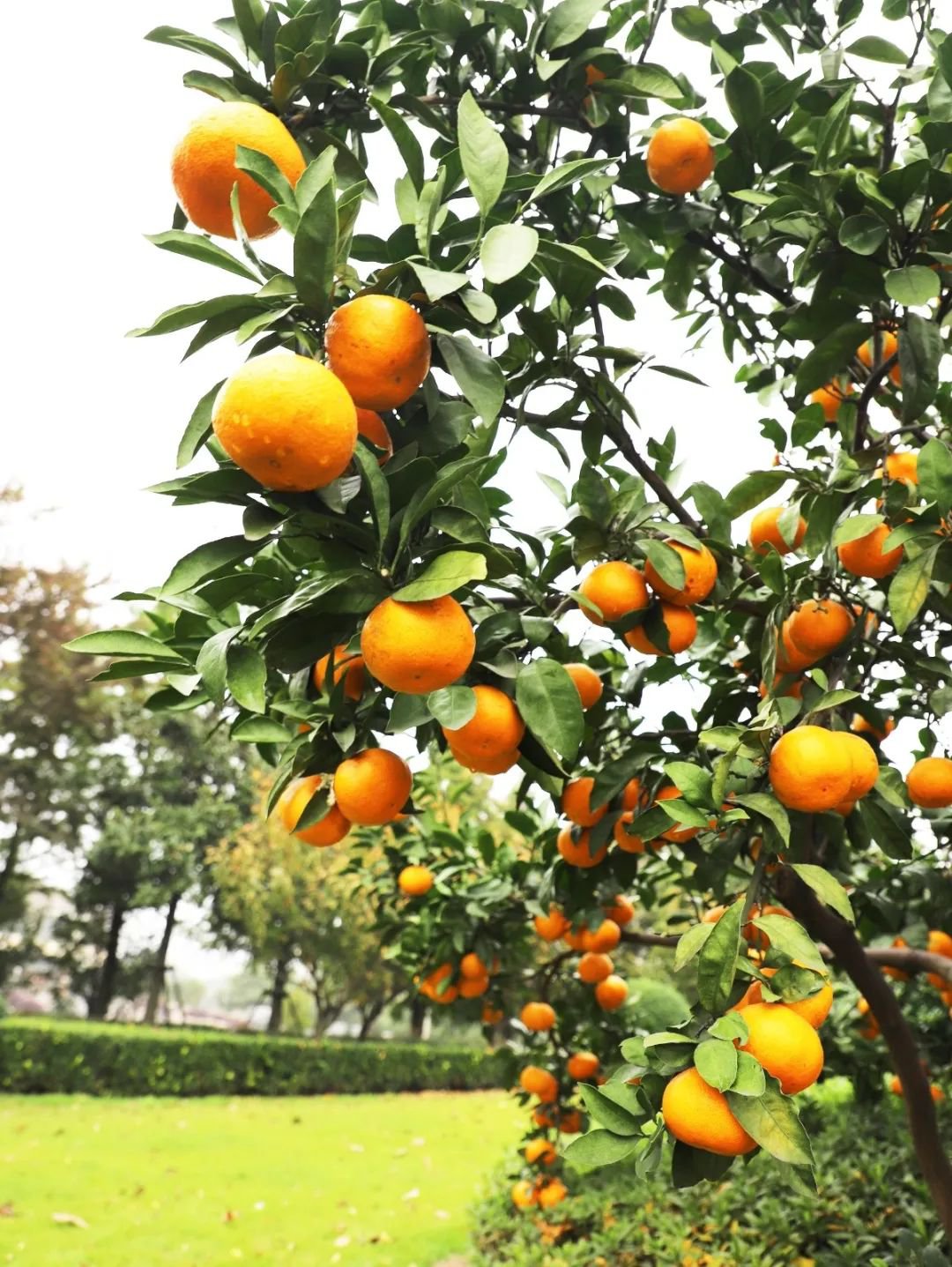 明升mansion88(中国游)最新官方网站