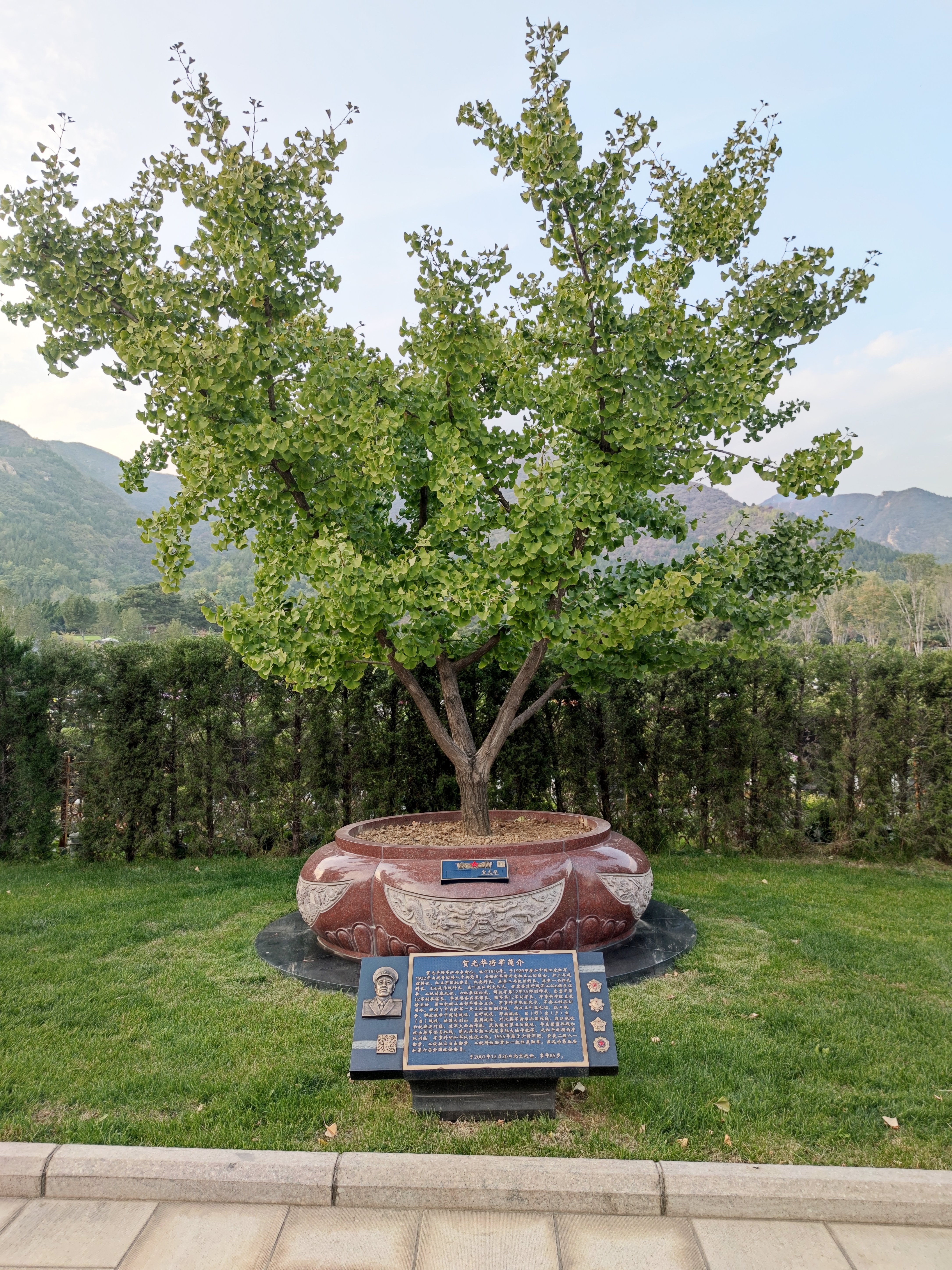 明升mansion88(中国游)最新官方网站