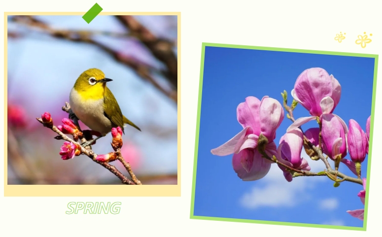 明升mansion88(中国游)最新官方网站