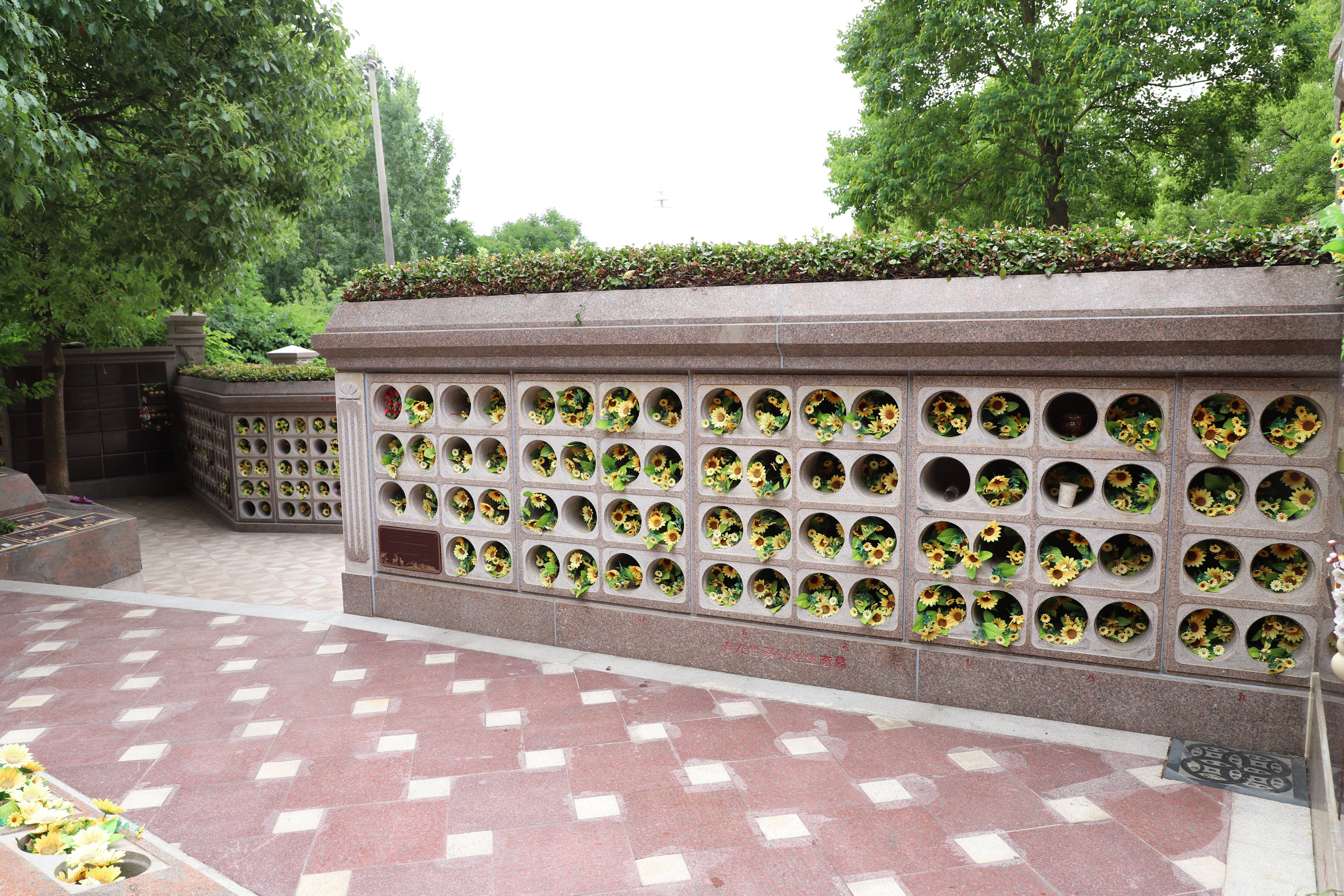 明升mansion88(中国游)最新官方网站