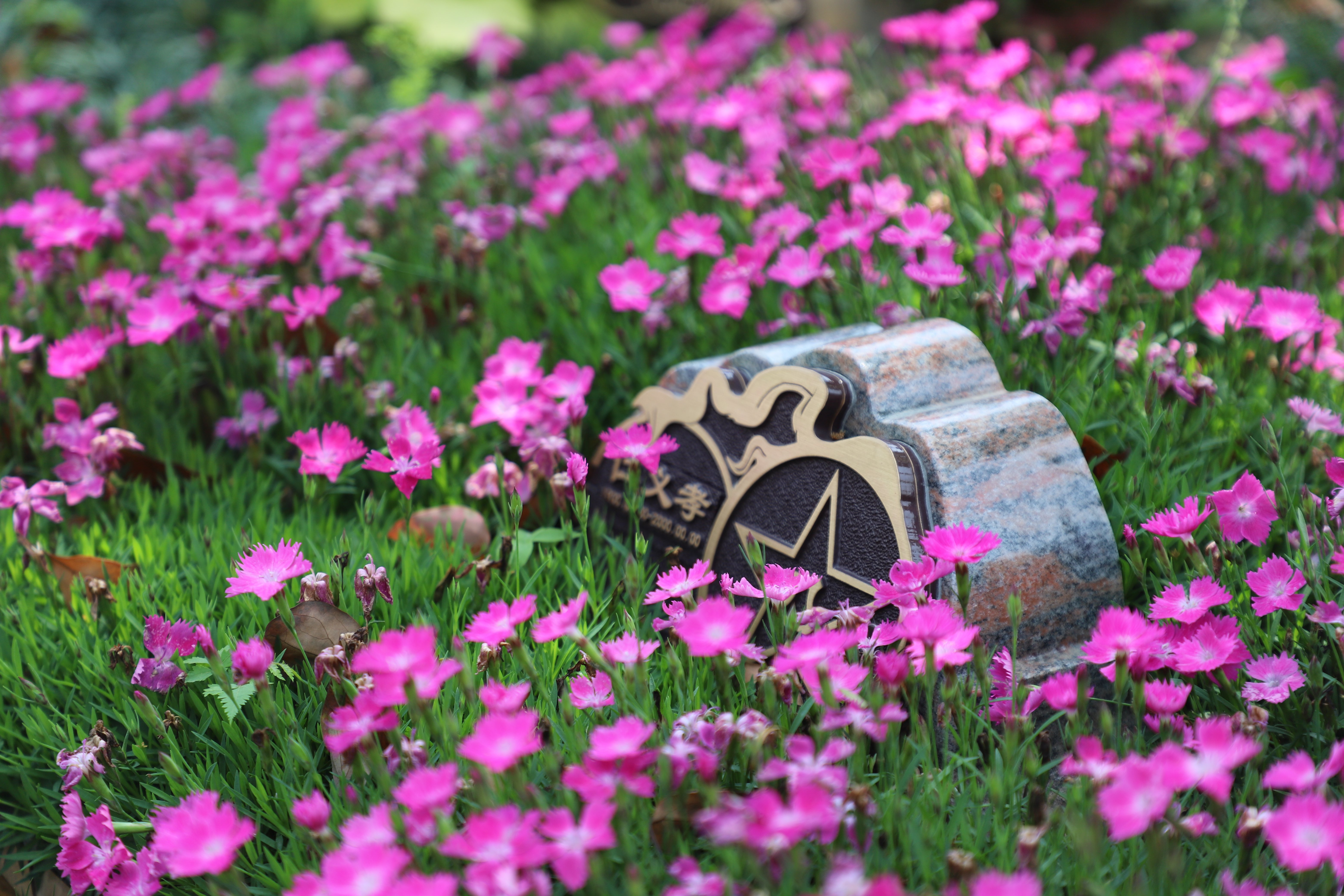 明升mansion88(中国游)最新官方网站