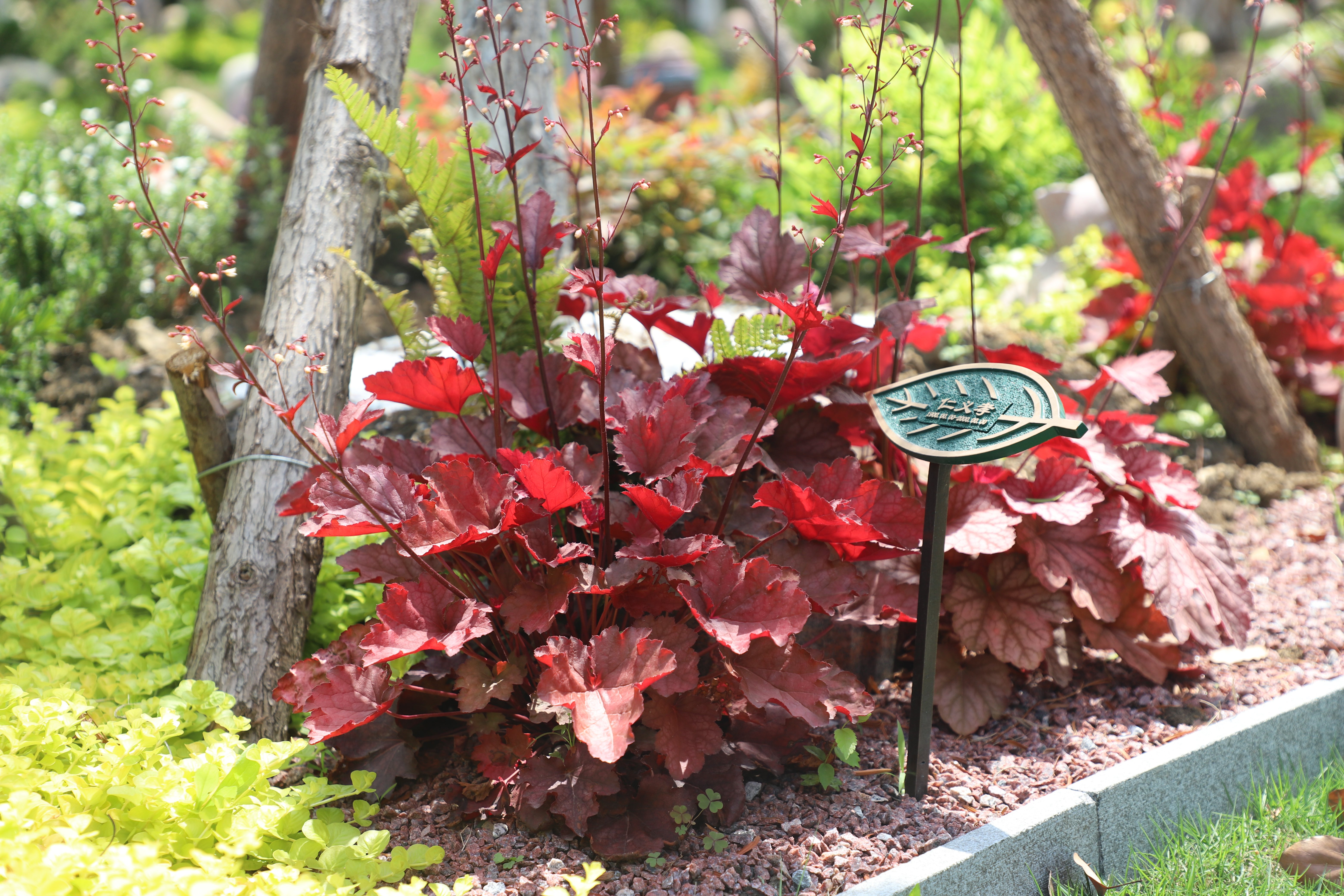 明升mansion88(中国游)最新官方网站