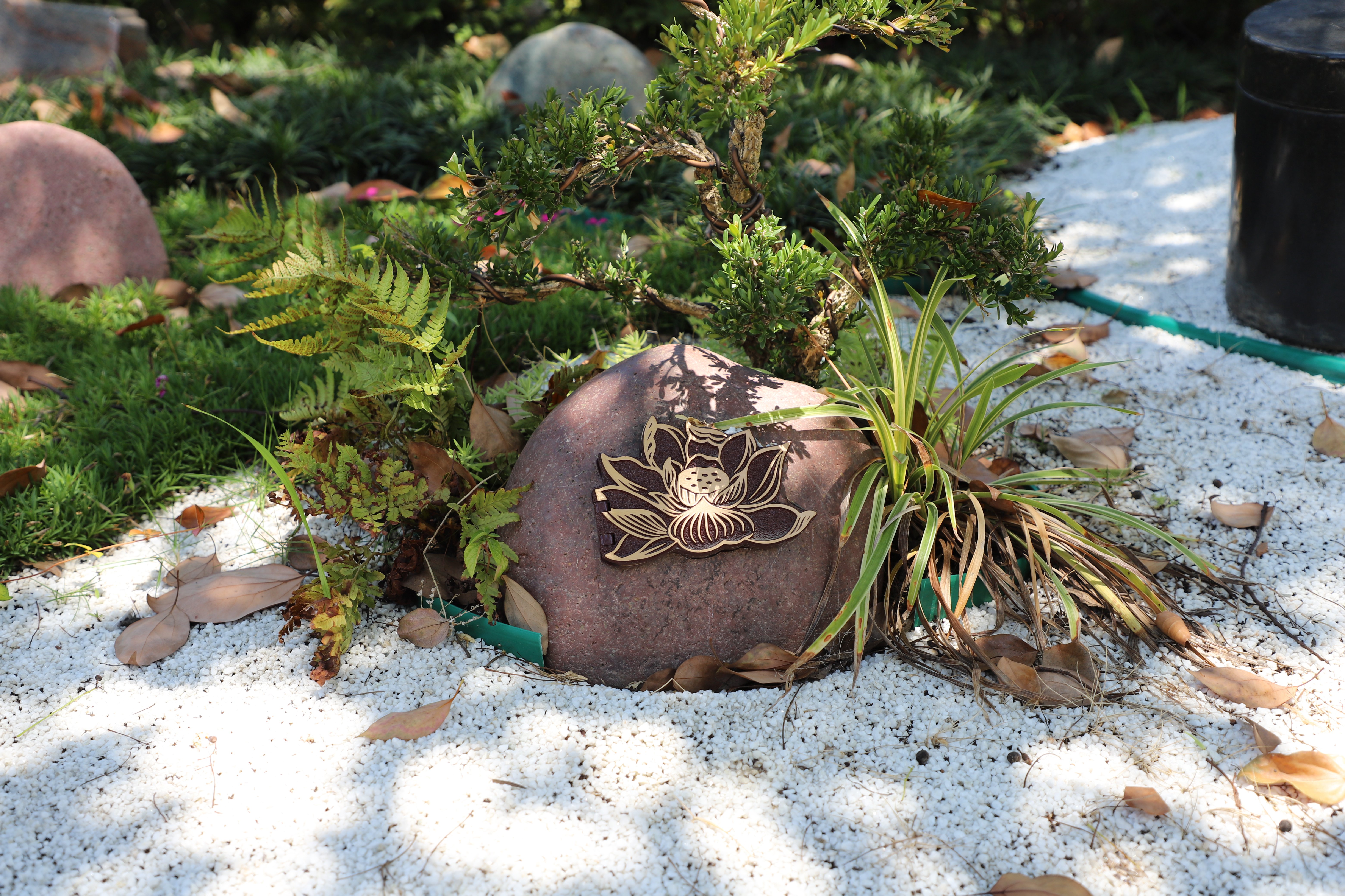 明升mansion88(中国游)最新官方网站