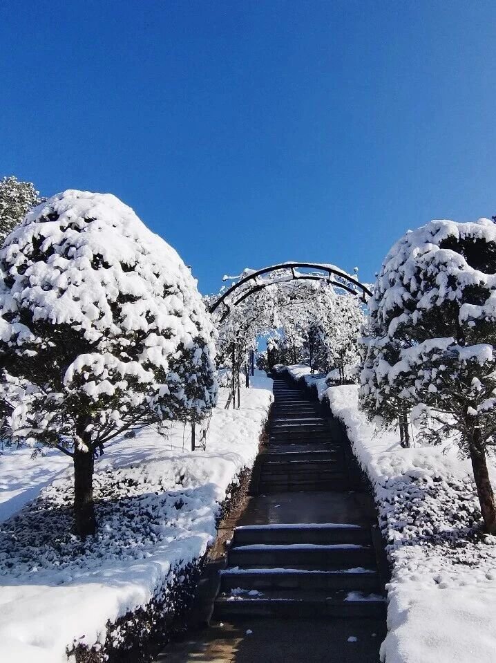 明升mansion88(中国游)最新官方网站