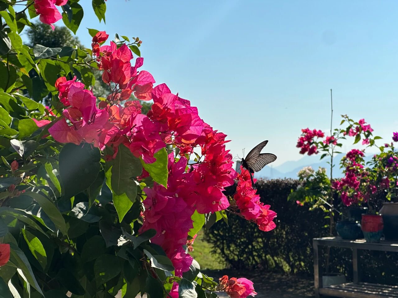 明升mansion88(中国游)最新官方网站