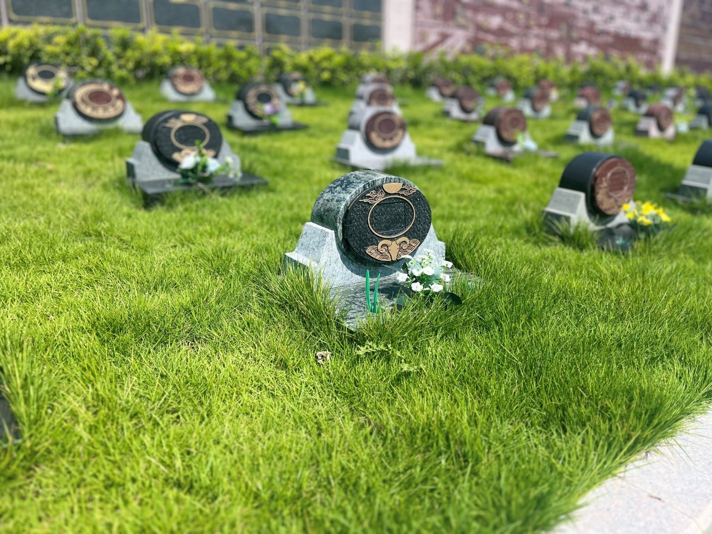 明升mansion88(中国游)最新官方网站