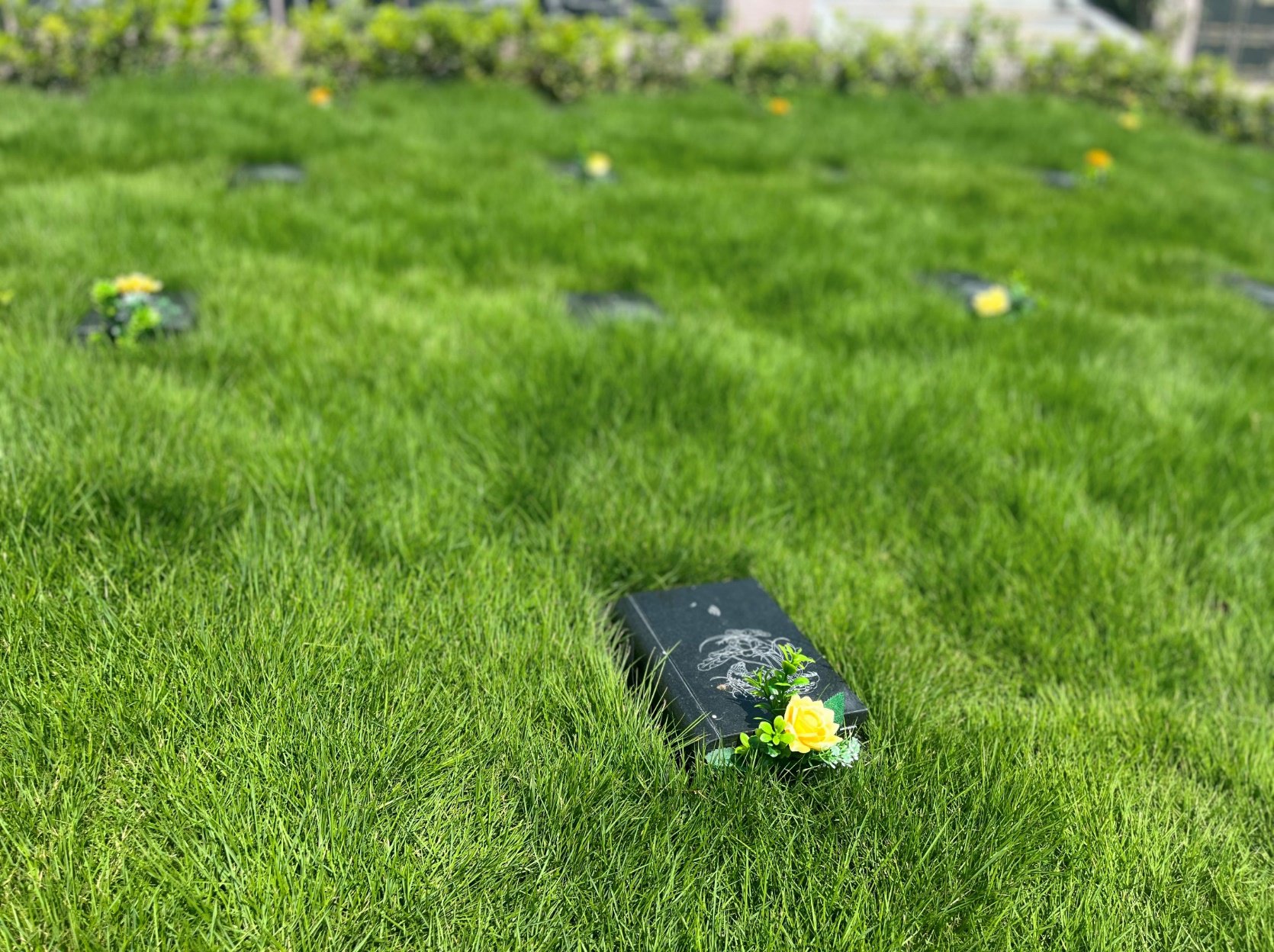 明升mansion88(中国游)最新官方网站