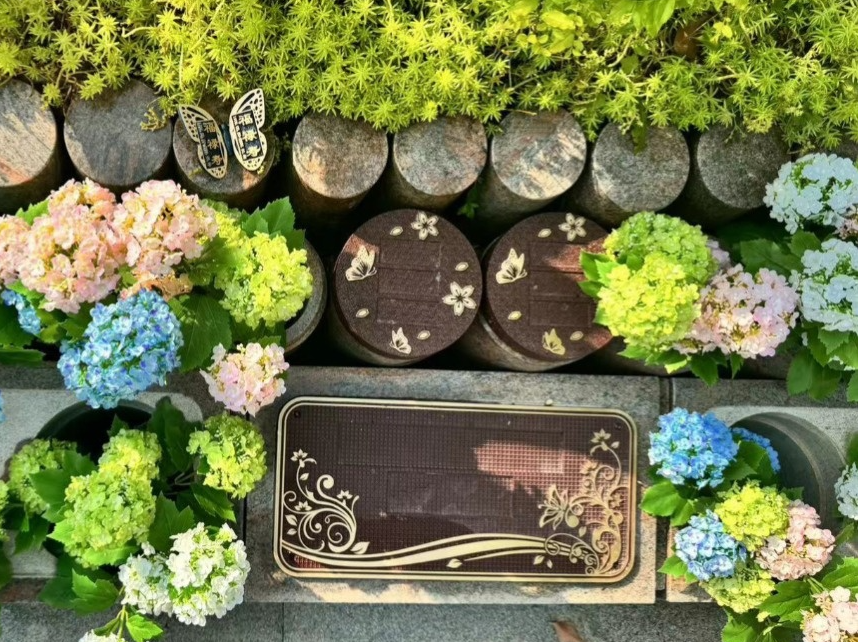 明升mansion88(中国游)最新官方网站